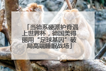 当德系硬派护脊遇上世界杯，德国美得丽用“足球基因”破局高端睡眠战场